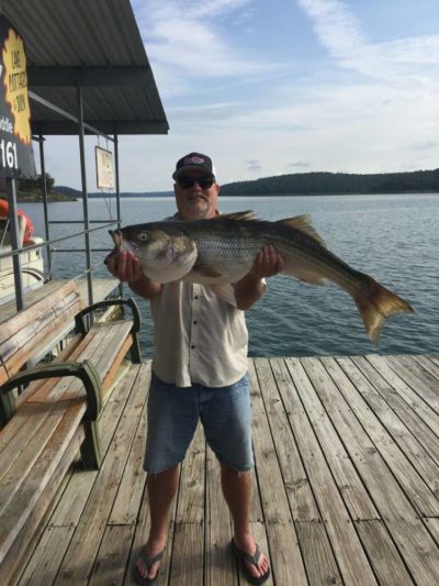 Striper Base Fishing Guide Norfork Lake